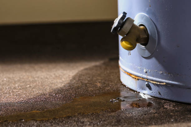 Best Water damage cleanup near me  in Sonora, TX