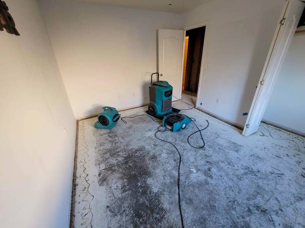 Best Residential water damage restoration  in Sonora, TX