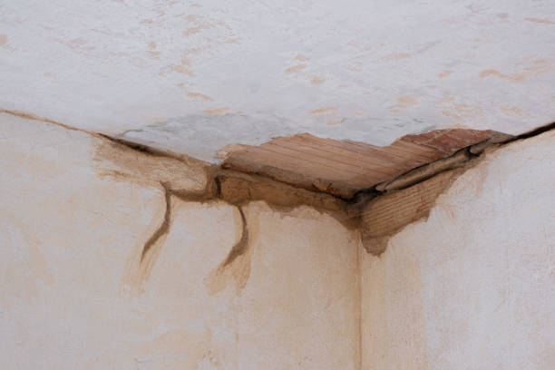 Best Water damage restoration cost  in Sonora, TX