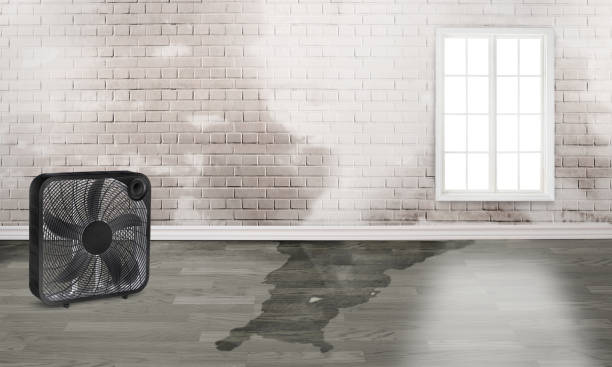 Sonora, TX Water damage restoration Company