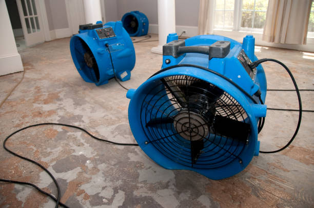 Sewage cleanup and water damage restoration in Sonora, TX